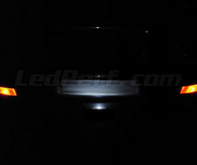 Kit di illuminazione della targa a LED (bianca Xenon) per Renault Twingo 1