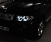 Kit angel eyes a LED per BMW X5 (E53) - standard