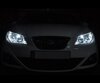 Kit luci di posizione (bianca Xenon) per Seat Ibiza 6J