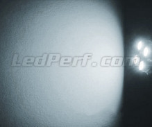 Kit luci di posizione a led (bianca Xenon) per Suzuki Grand Vitara
