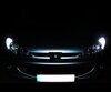 Kit luci di posizione a LED bianca Xenon per Peugeot 206