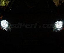 Kit luci di posizione a led (bianca Xenon) per Toyota Aygo