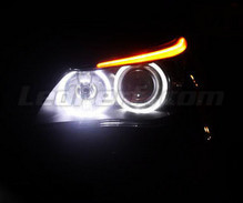 Kit angel eyes a LED per BMW Serie 5 (E60 E61) Phase 1 - con Xenon originali - standard