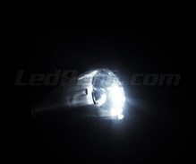 Kit luci di posizione a LED (bianca Xenon) per Fiat Grande Punto