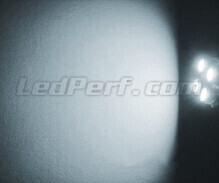 Kit luci di posizione a led (bianca Xenon) per Volvo C70