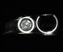 Kit angel eyes H8 a led (bianca puro 6000K) per BMW X5 (E70) - standard