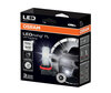 Lampadine H11 LED Osram LEDriving FL Standard per fendinebbia