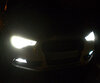 Kit lampadine fendinebbia Xenon effect per Audi A5 8T