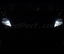 Kit luci di posizione a LED (bianca Xenon) per Peugeot 5008 (senza Xenon originali)