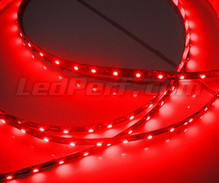 Banda flessibile 24V da 1 metro (5 led cms) rossa