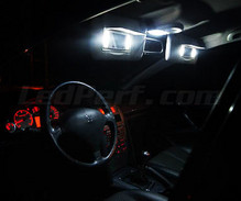 Kit interni lusso Full LED (bianca puro) per Peugeot 407