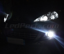 Kit lampadine fari effetto Xenon per Peugeot 207