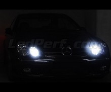 Kit luci di posizione a led (bianca Xenon) per Mercedes CLK (W209)