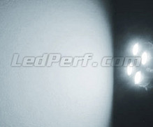 Kit luci di posizione a led (bianca Xenon) per Jaguar XJ8