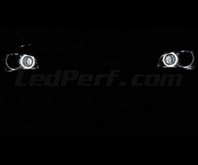 Kit angel eyes H8 a led (bianca puro 6000K) per BMW X1 (E84) - standard