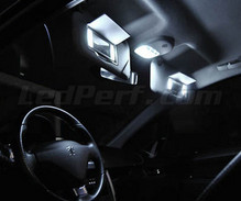 Kit interni lusso Full LED (bianca puro) per Peugeot 207