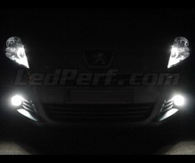 Kit lampadine fendinebbia Xenon effect per Peugeot 3008