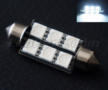 Lampadina navetta 39mm a LED bianchi - Full Intensity