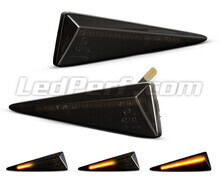 Frecce laterali dinamiche a LED per Renault Vel Satis