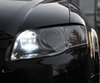 Kit luci di marcia diurna (bianca Xenon) per Audi A4 B7