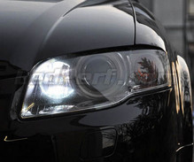 Kit luci di marcia diurna (bianca Xenon) per Audi A4 B7
