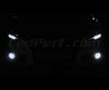 Kit lampadine fendinebbia Xenon effect per Audi Q3