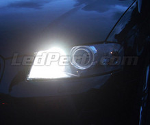 Kit luci di marcia diurna (bianca Xenon) per Audi A6 C6