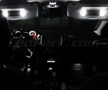 Kit interni lusso Full LED (bianca puro) per Peugeot 208