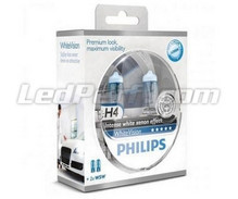 Kit da 2 lampadine H4 Philips WhiteVision + 2 W5W WhiteVision (Novità!)