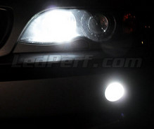 Kit lampadine led fendinebbia (Xenon effect) per our BMW Serie 3 (E46)