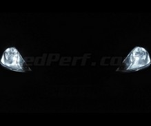 Kit luci di posizione a led (bianca Xenon) per Ford Focus MK1