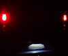 Kit di illuminazione della targa a LED (bianca Xenon) per Renault Trafic 2