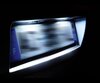 Kit di illuminazione della targa a LED (bianca Xenon) per Renault Clio 3