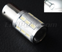 Lampadina P21/5W Magnifier a 21 led SG Alta potenza + Magnifier bianchi Base BAY15D