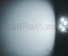 Kit luci di posizione a LED (bianca Xenon) per Dacia Duster (non rimodernata)