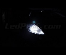 Kit luci di posizione a led (bianca Xenon) per Ford Fiesta MK7